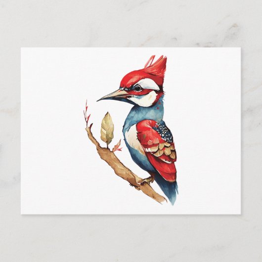 Rode en blauwe specht briefkaart (Voorkant)