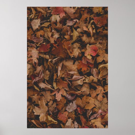 RODE EN BROEIENDE LEAVES OP GROND POSTER (Voorkant)