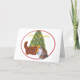 Rode en Calico Perzische Katten Kerstmis Feestdagen Kaart