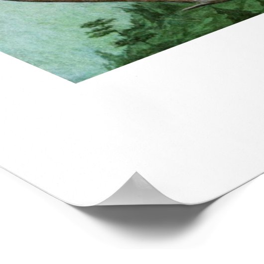 Rode en Cooper's Hawks Poster (Hoek)