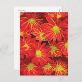 Rode en gele bloemen 1 feestdagenkaart (Voorkant / Achterkant)