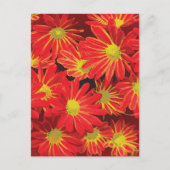 Rode en gele bloemen 1 feestdagenkaart (Voorkant)