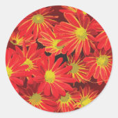 Rode en gele bloemen 1 ronde sticker (Voorkant)