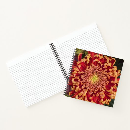 Rode en gele chrysant bloemen notitieboek (Binnen)