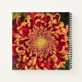 Rode en gele chrysant bloemen notitieboek (Achterkant)