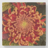 Rode en gele chrysant bloemen stenen onderzetter (Voorkant)