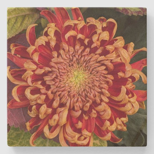 Rode en gele chrysant bloemen stenen onderzetter (Voorkant)