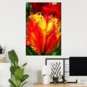 Rode en gele close-up krultulp poster (Thuiskantoor)
