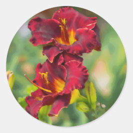 Rode en gele Dagelijkse Bloem Digitale Schilderij Ronde Sticker