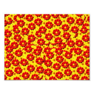 Rode en gele dahlia bloemen foto afdruk