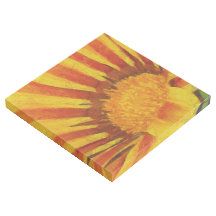 Rode en gele Gazania Acrylverf