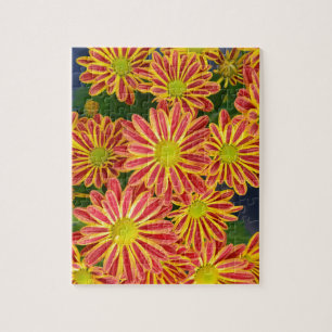Rode en gele gestreepte chrysanthemum bloemen legpuzzel