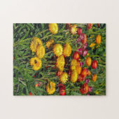 Rode en gele knopbloemen legpuzzel (Horizontaal)