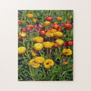Rode en gele knopbloemen legpuzzel