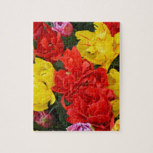 Rode en gele lentuslippen legpuzzel