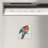 Rode en gele Macaw Magneet (Insitu (Vaatwasser))
