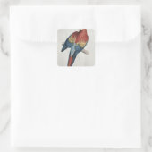 Rode en gele Macaw Vierkante Sticker (Tas)