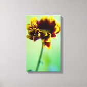 Rode en gele maisbloem Canvasafdruk Canvas Afdruk (Voorkant)