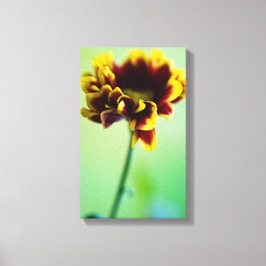 Rode en gele maisbloem Canvasafdruk Canvas Afdruk (Voorkant)