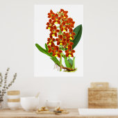  rode en gele orchidebloem poster (Keuken)