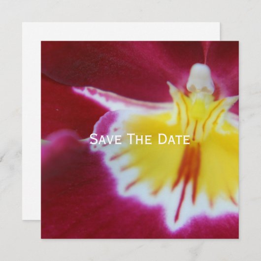 Rode en gele orchidee kaart (Voorkant / Achterkant)