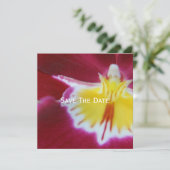 Rode en gele orchidee kaart (Staand voorkant)