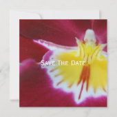 Rode en gele orchidee kaart (Voorkant)