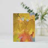 Rode en gele paardenbladeren in het zuiden briefkaart (Staand voorkant)