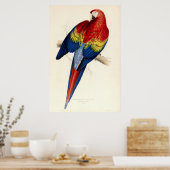  rode en gele papegaai door Edward Lear Poster (Keuken)