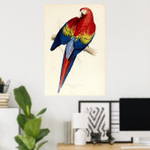  rode en gele papegaai door Edward Lear Poster (Thuiskantoor)