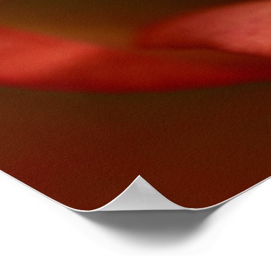 rode en gele roos poster (Hoek)