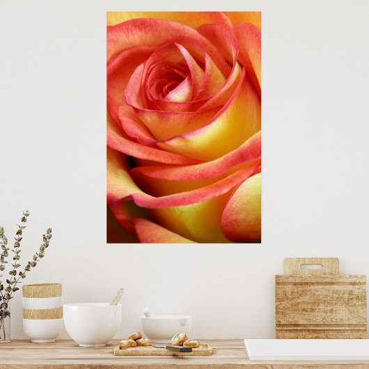 rode en gele roos poster (Keuken)