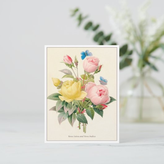 Rode en gele rozen van Pierre Joseph Redoute Briefkaart (Staand voorkant)