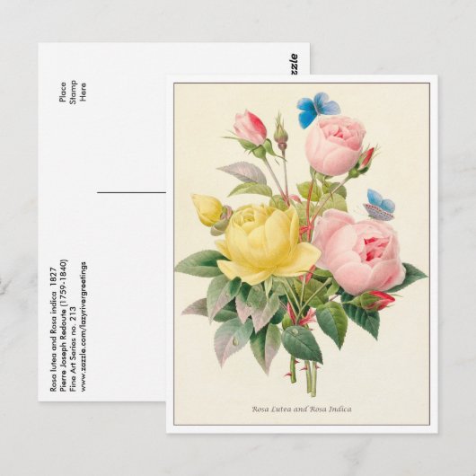 Rode en gele rozen van Pierre Joseph Redoute Briefkaart (Voorkant / Achterkant)