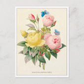 Rode en gele rozen van Pierre Joseph Redoute Briefkaart (Voorkant)