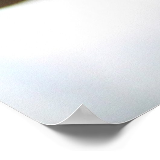 Rode en gele stekelbaars bloemen 2 poster (Hoek)