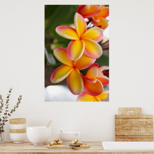 Rode en gele stekelbaars bloemen 2 poster (Keuken)