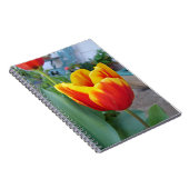 Rode en gele tulp bloementuin foto notitieboek (Rechterzijde)