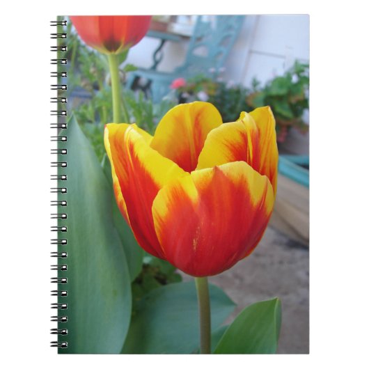 Rode en gele tulp bloementuin foto notitieboek (Voorkant)
