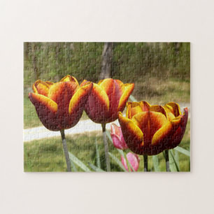 Rode en gele Tulpen Foto Puzzle Legpuzzel