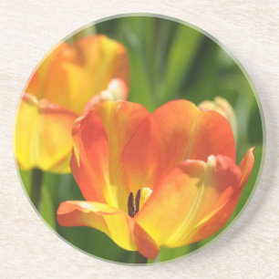 Rode en gele tulpen in de voorjaarstuin zandsteen onderzetter