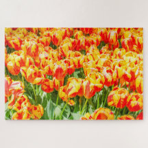 Rode en gele tulpen