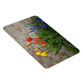 Rode En Gele Tulpen Magneet (Rechterzijde)