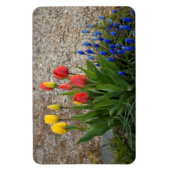 Rode En Gele Tulpen Magneet (Verticaal)