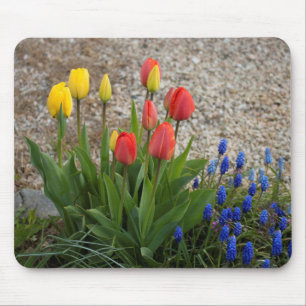 Rode En Gele Tulpen Muismat
