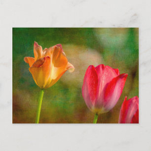 Rode en gele tulpen op een textuur achtergrond briefkaart