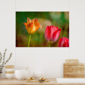 Rode en gele tulpen op getextureerde achtergrond poster (Keuken)