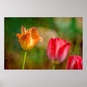 Rode en gele tulpen op getextureerde achtergrond poster