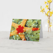 Rode en gele Zee ster Kaart (Gele Bloem)