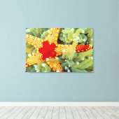 Rode en Gele Zeester 2 Canvas Afdruk (Insitu (Houten vloer))